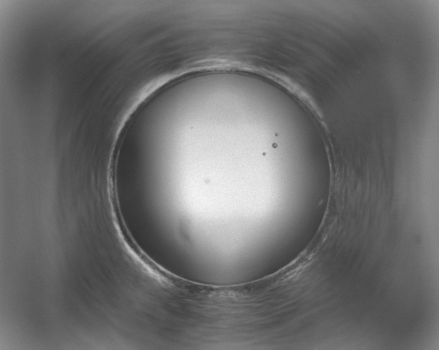 X0000053071239200507251451