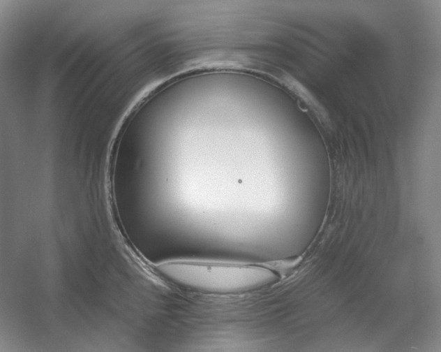 X0000053071240200507251451