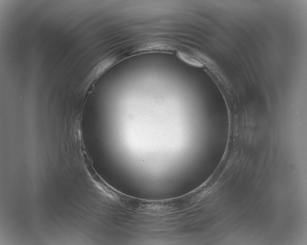 X0000053071241200507251451