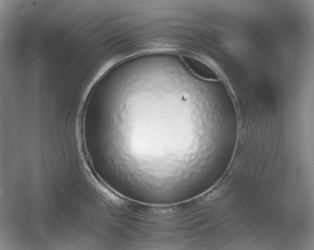 X0000053071243200507251451