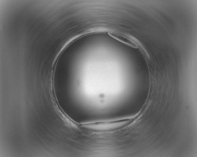 X0000053071244200507251451