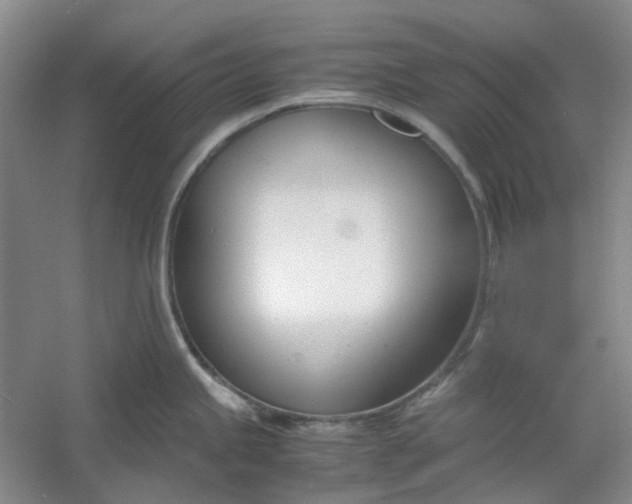 X0000053071245200507251451