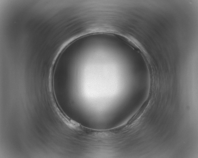 X0000053071246200507251451