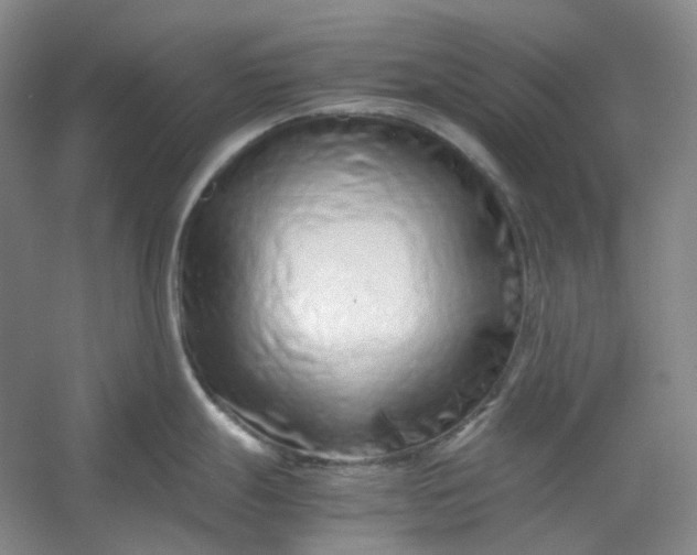 X0000053071247200507251451