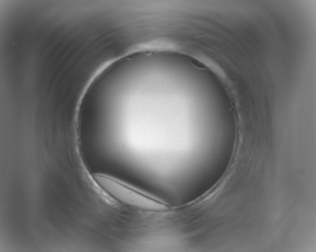 X0000053071248200507251451