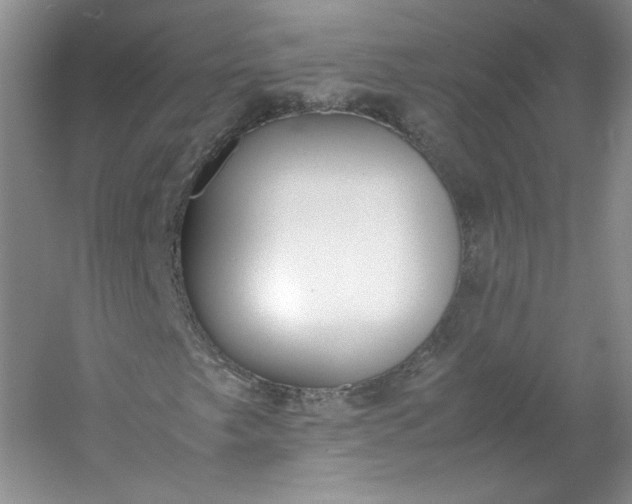 X0000053071249200507251450