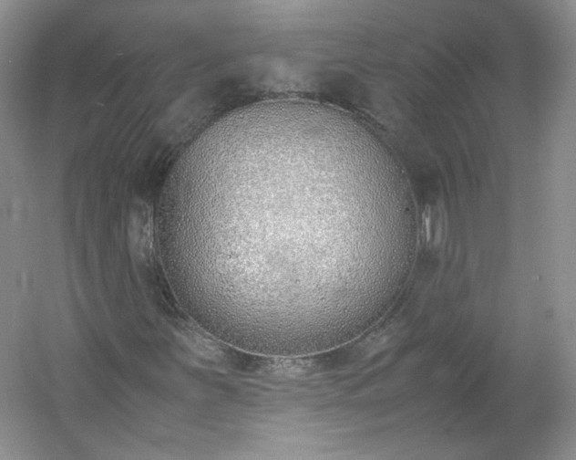 X0000053071251200507251450