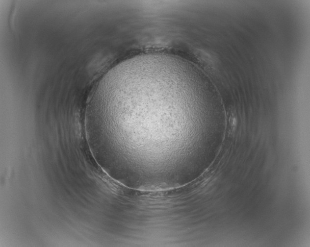 X0000053071252200507251450