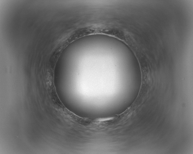 X0000053071253200507251450