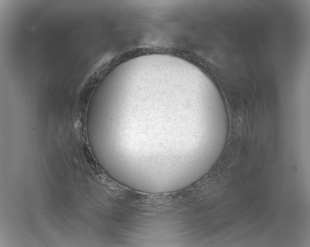 X0000053071254200507251450