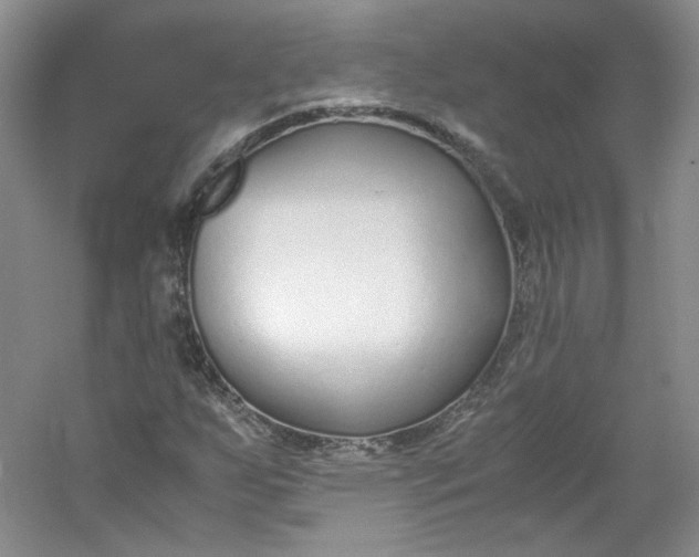 X0000053071255200507251450