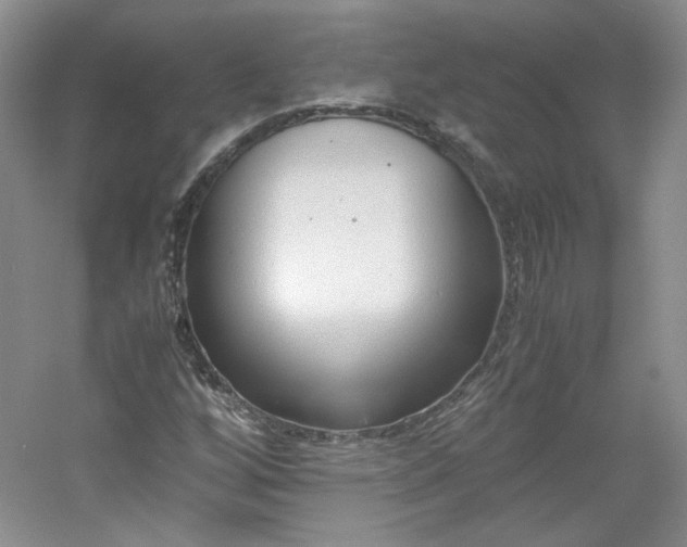 X0000053071256200507251450