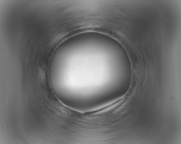 X0000053071257200507251450