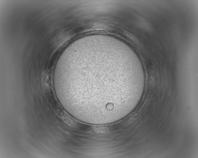 X0000053071258200507251450