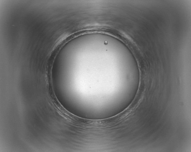 X0000053071259200507251450