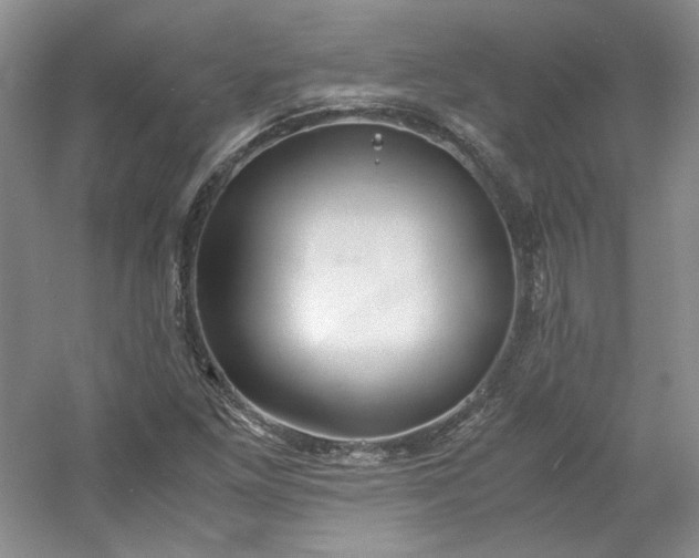 X0000053071261200507251450