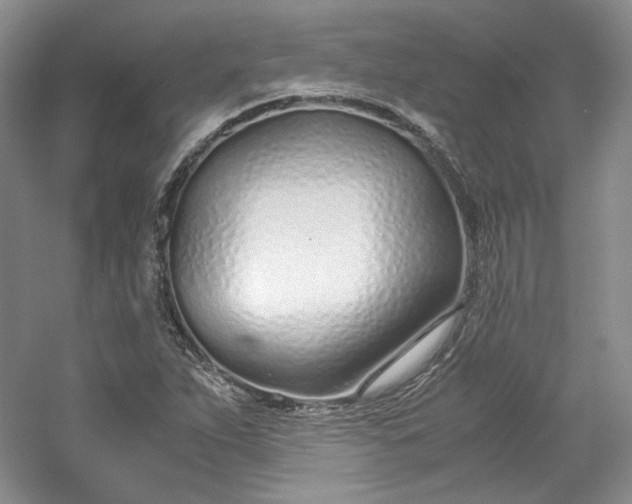 X0000053071263200507251450