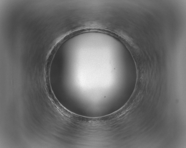 X0000053071264200507251450