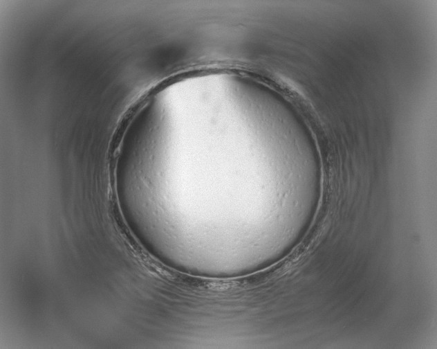 X0000053071267200507251450