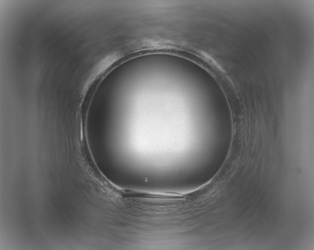 X0000053071269200507251450