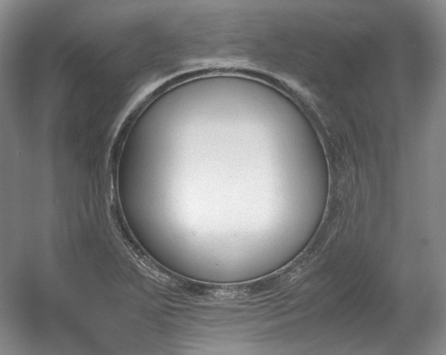 X0000053071271200507251450