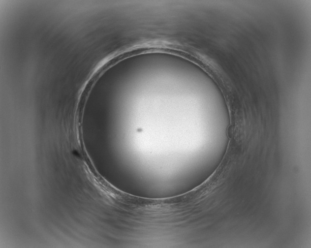 X0000053071272200507251450