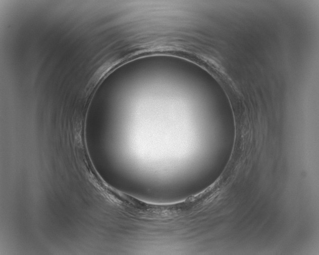 X0000053071273200507251450