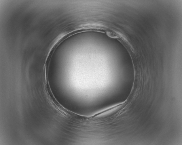 X0000053071275200507251450