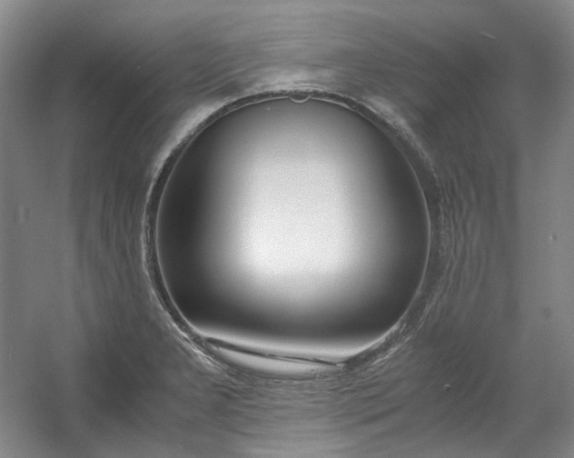 X0000053071277200507251450