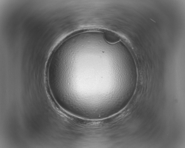 X0000053071279200507251450