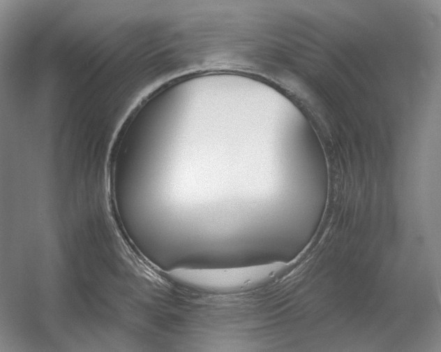 X0000053071280200507251450