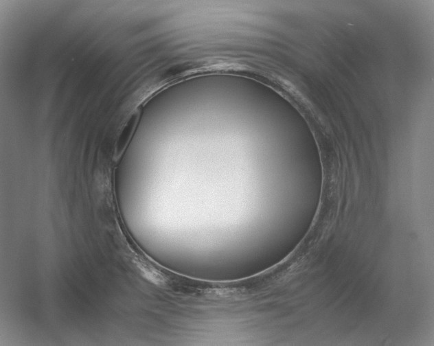 X0000053071281200507251450