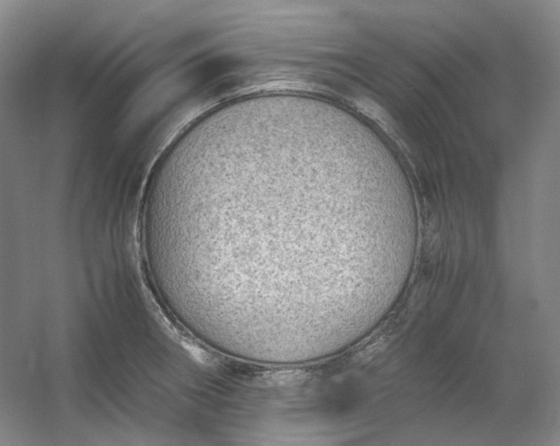 X0000053071282200507251450