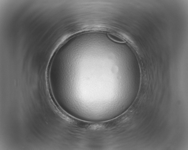 X0000053071283200507251450