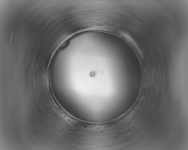 X0000053071284200507251450