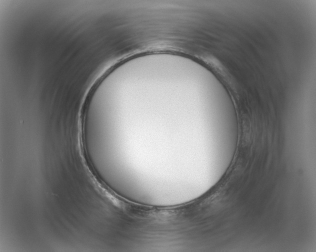 X0000053071286200507251450