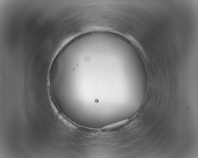 X0000053071287200507251450