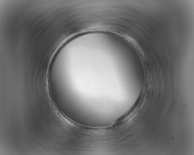 X0000053071288200507251450