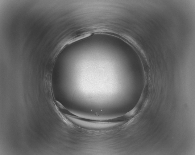 X0000053071289200507251450