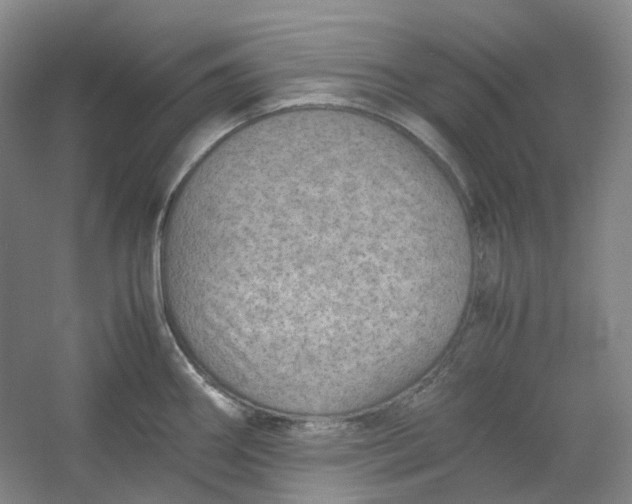 X0000053071290200507251450