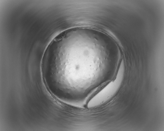 X0000053071291200507251450