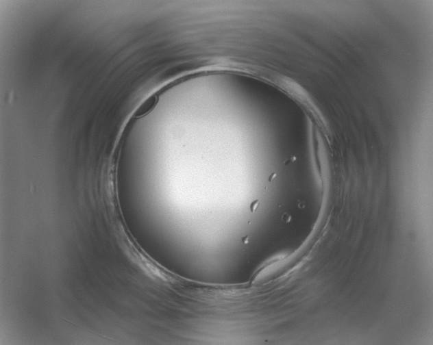 X0000053071292200507251450