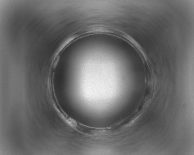 X0000053071293200507251450