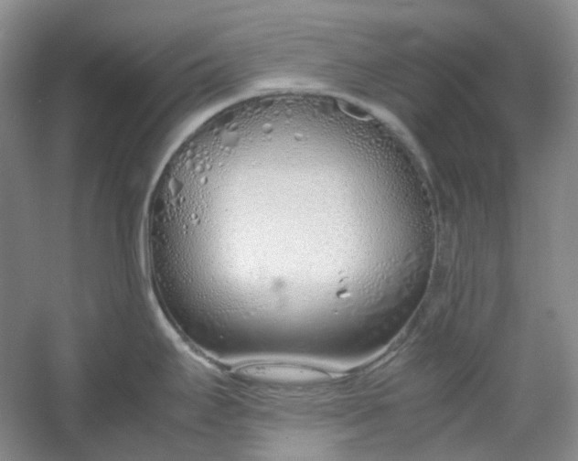 X0000053071295200507251450