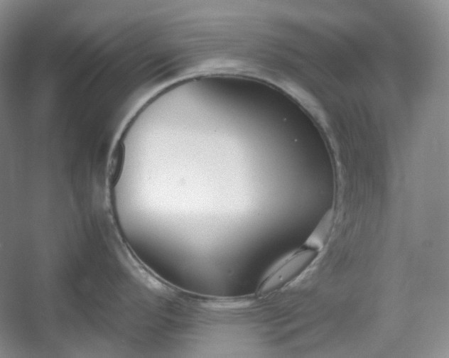 X0000053071296200507251450