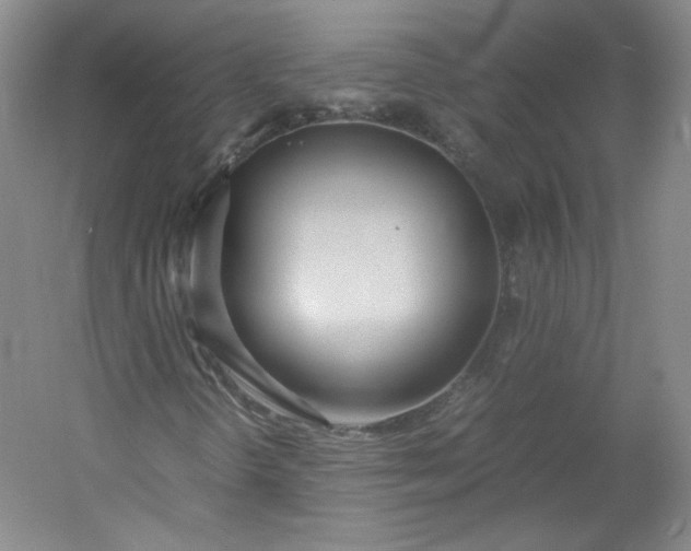 X0000053071298200507251449