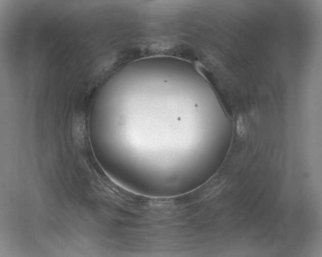 X0000053071299200507251449