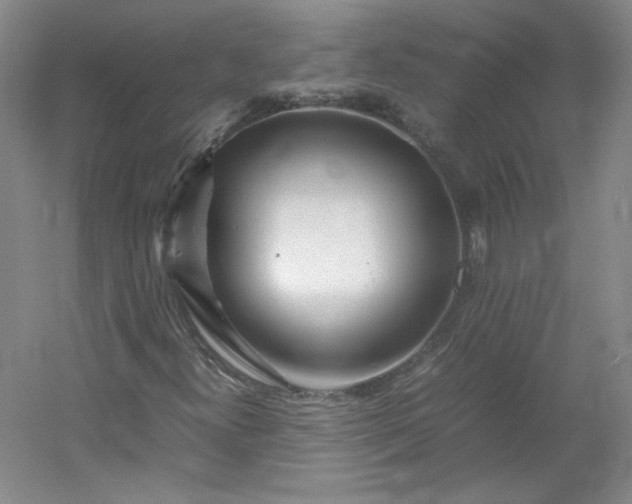 X0000053071300200507251449