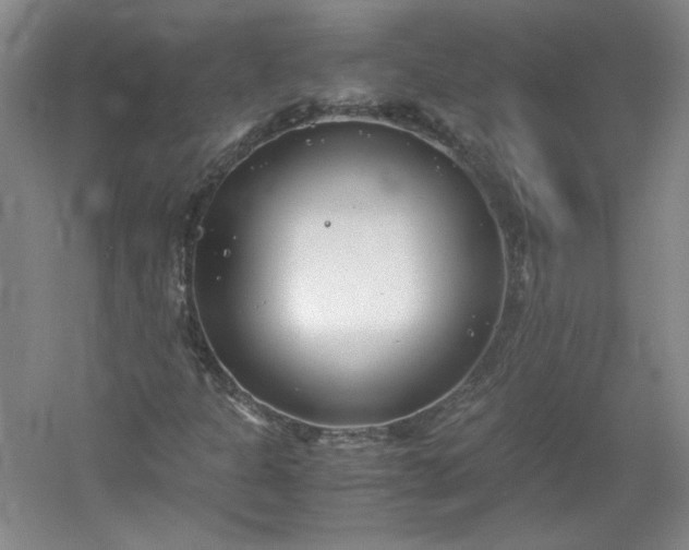 X0000053071301200507251449