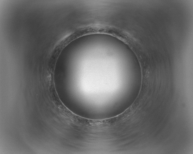 X0000053071302200507251449